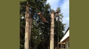 Peerless Tree Service
