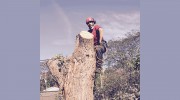 Castor Tree Care