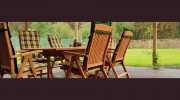 Teak Tree