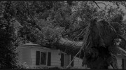 All Season Tree Service