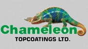 Chameleon Top Coating