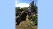Van Till Tree Care
