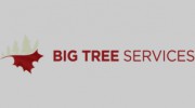 Big Tree Care
