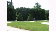 Tree Works