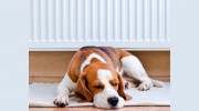 Frank Myers Heating Service