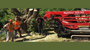 Turgeon Tree Removal