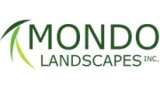 MONDO Landscapes