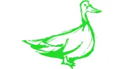 Green Goose Renovations & Construction