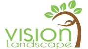 Vision Landscape