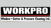 WorkPro Window Gutter & Pressure Cleaning