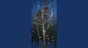 Professional Tree Services