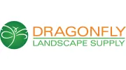 Dragonfly Landscape