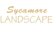 Sycamore Landscape