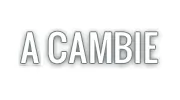 A Cambie Grease Cleaning