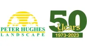 Peter Hughes Landscape