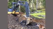 Motherwell Excavating & Logging