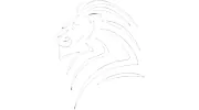 Lions Concrete Cutting & Coring