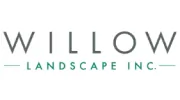 Willow Landscape