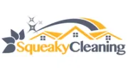 Squeaky Cleaning