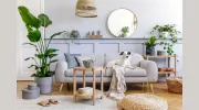 Maqsim Furniture Cleaning & Protection