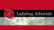 Ladybug Arborists