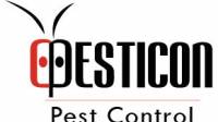 Ant Control Mississauga